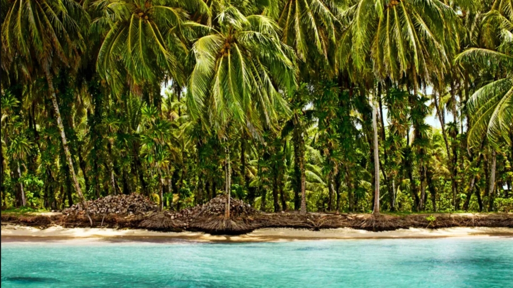 Panama’s Bocas del Toro Is Ready for Its Next Chapter